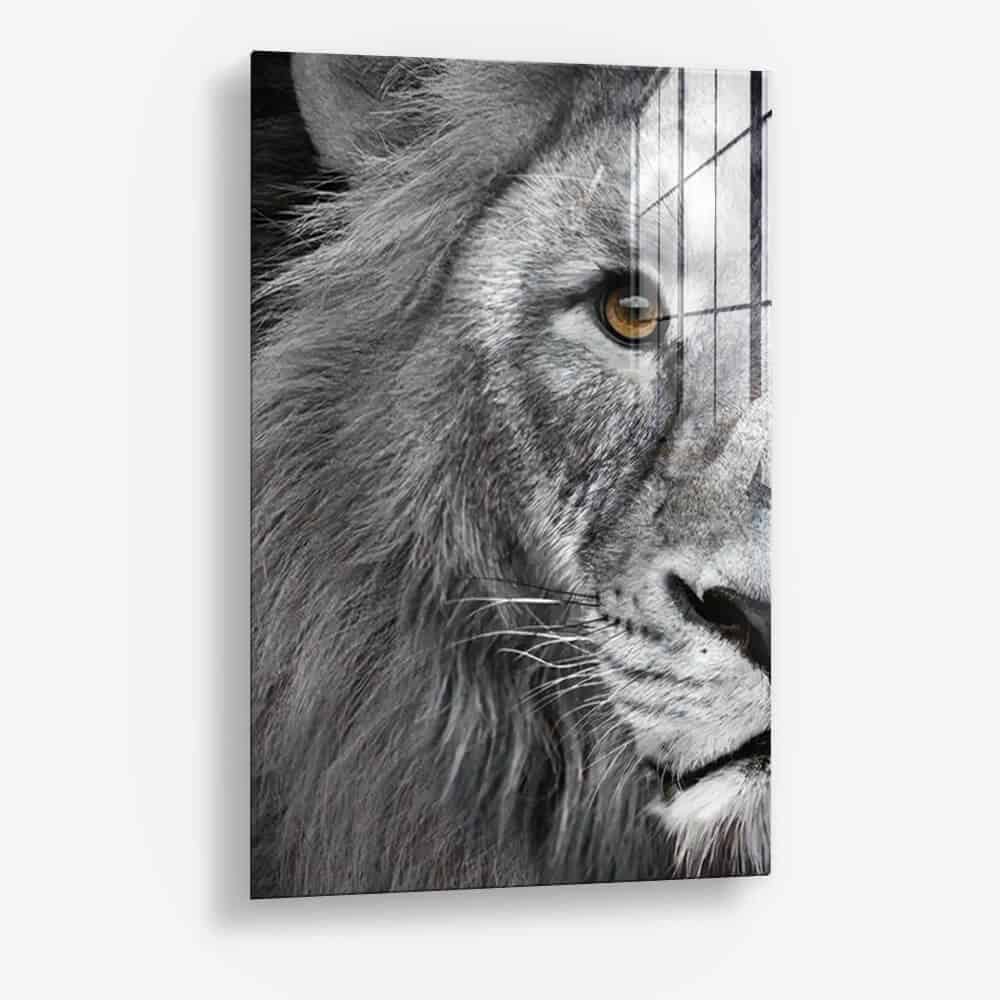 Bundel: Lion & lioness (2x) - Glass - Kopiëren
