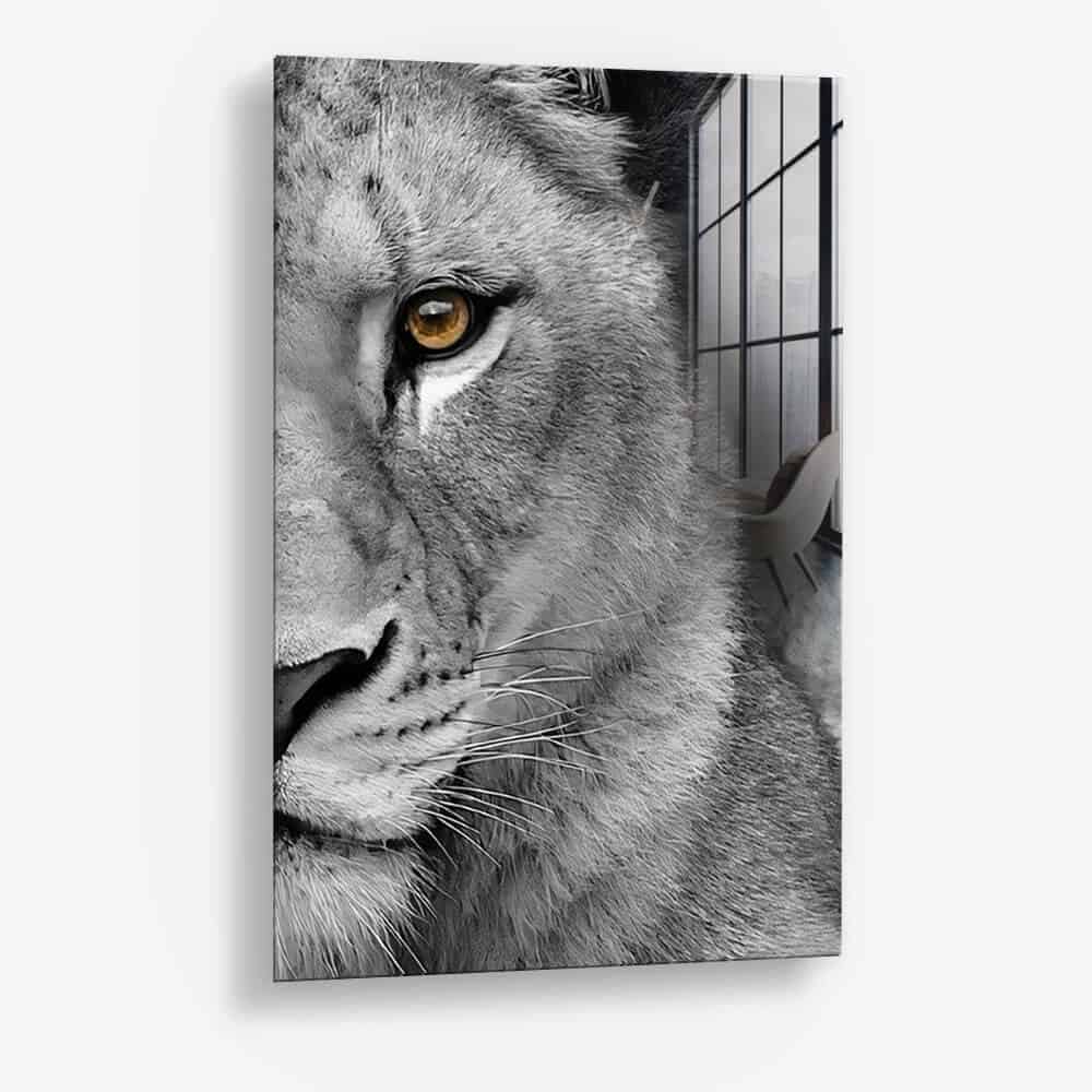 Bundel: Lion & lioness (2x) - Glass - Kopiëren
