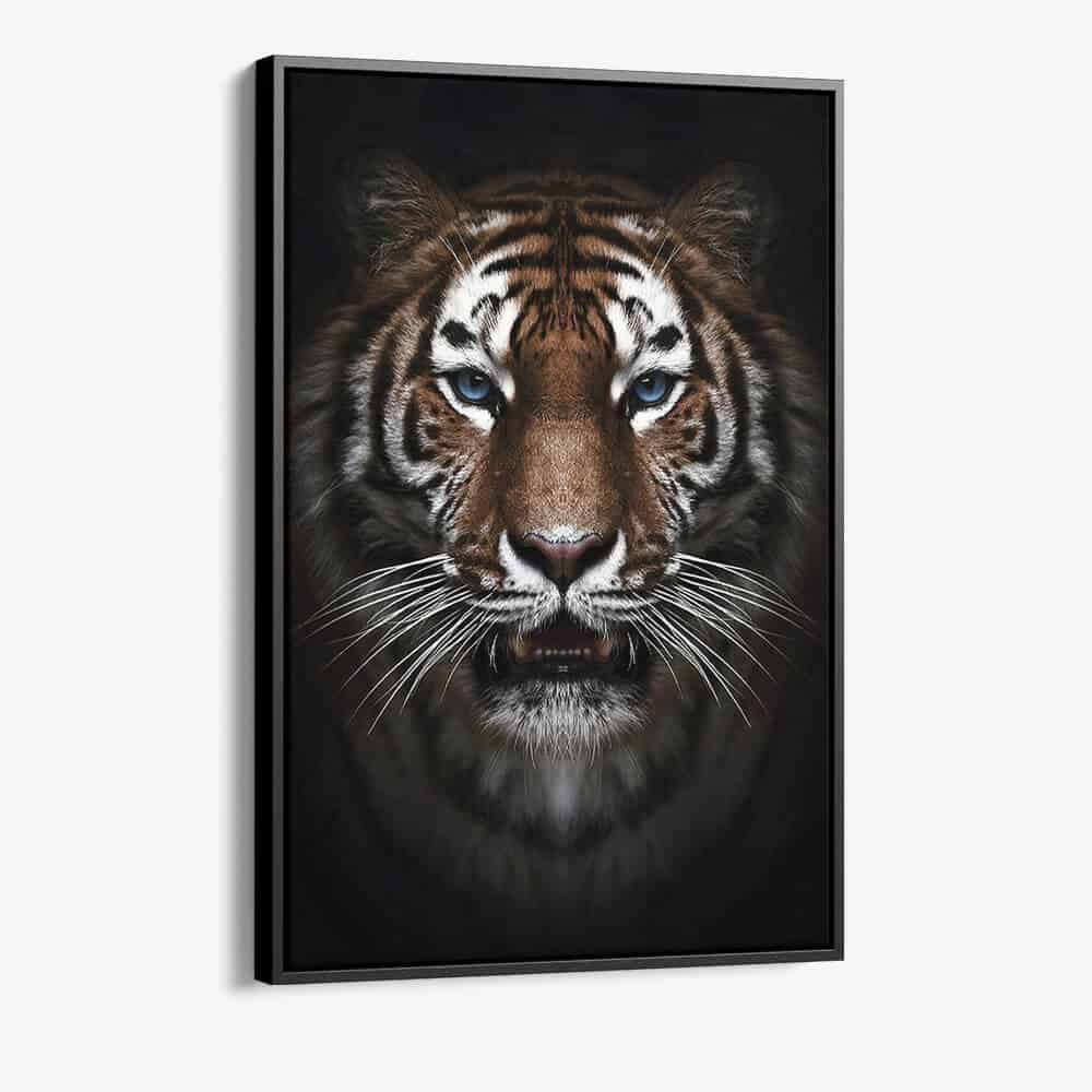 Bundel: “Big Cats” (3x)
