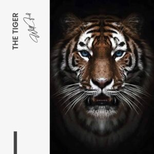 Bundel: “Big Cats” (3x)