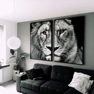 color lions