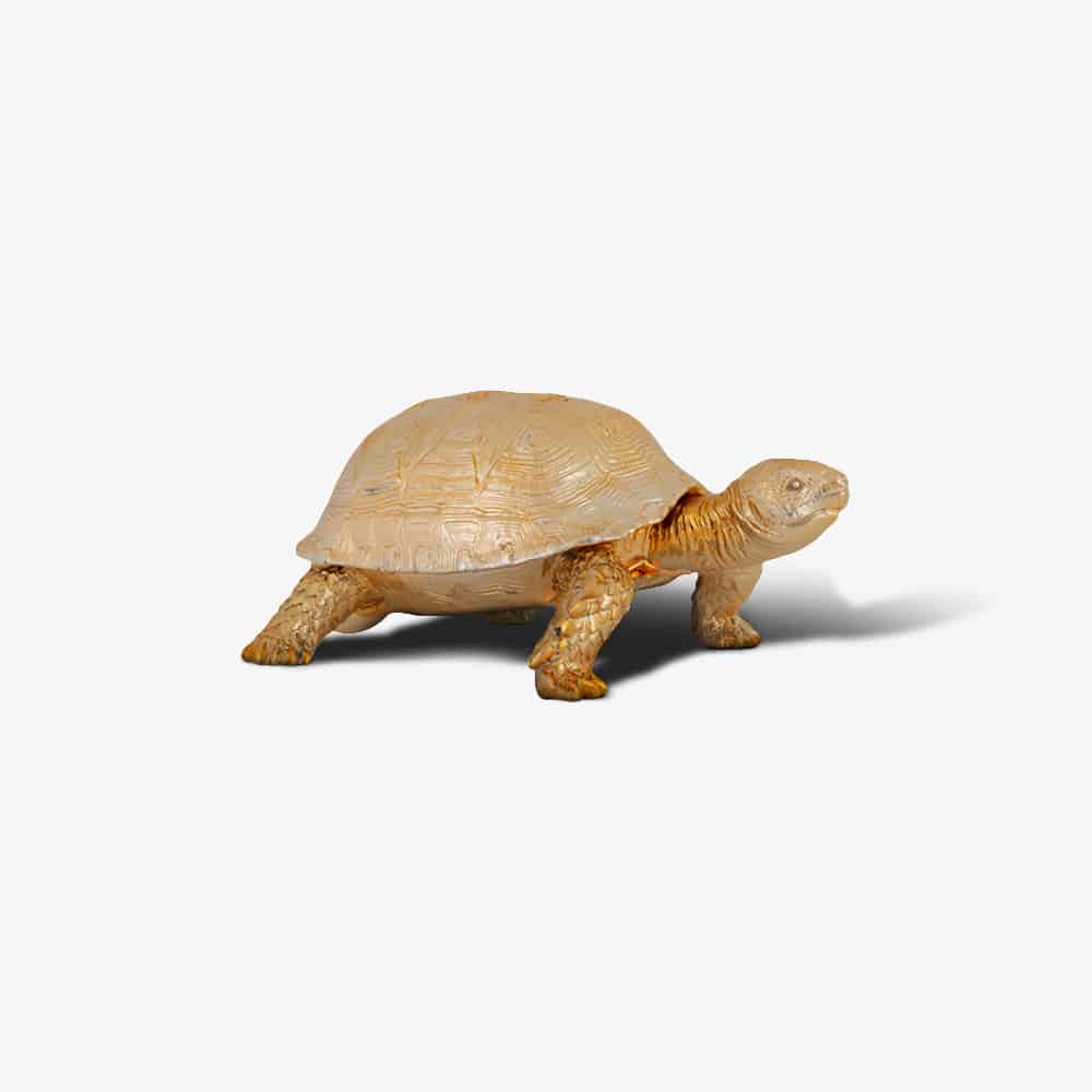 Decoratie box Turtle (Gold)