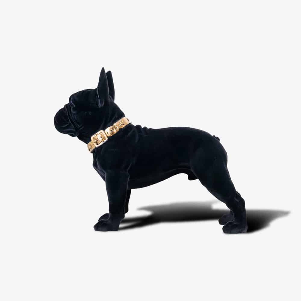 Dog Spike zwart (Black)