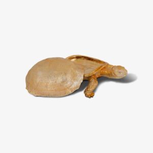 Decoratie box Turtle (Gold)