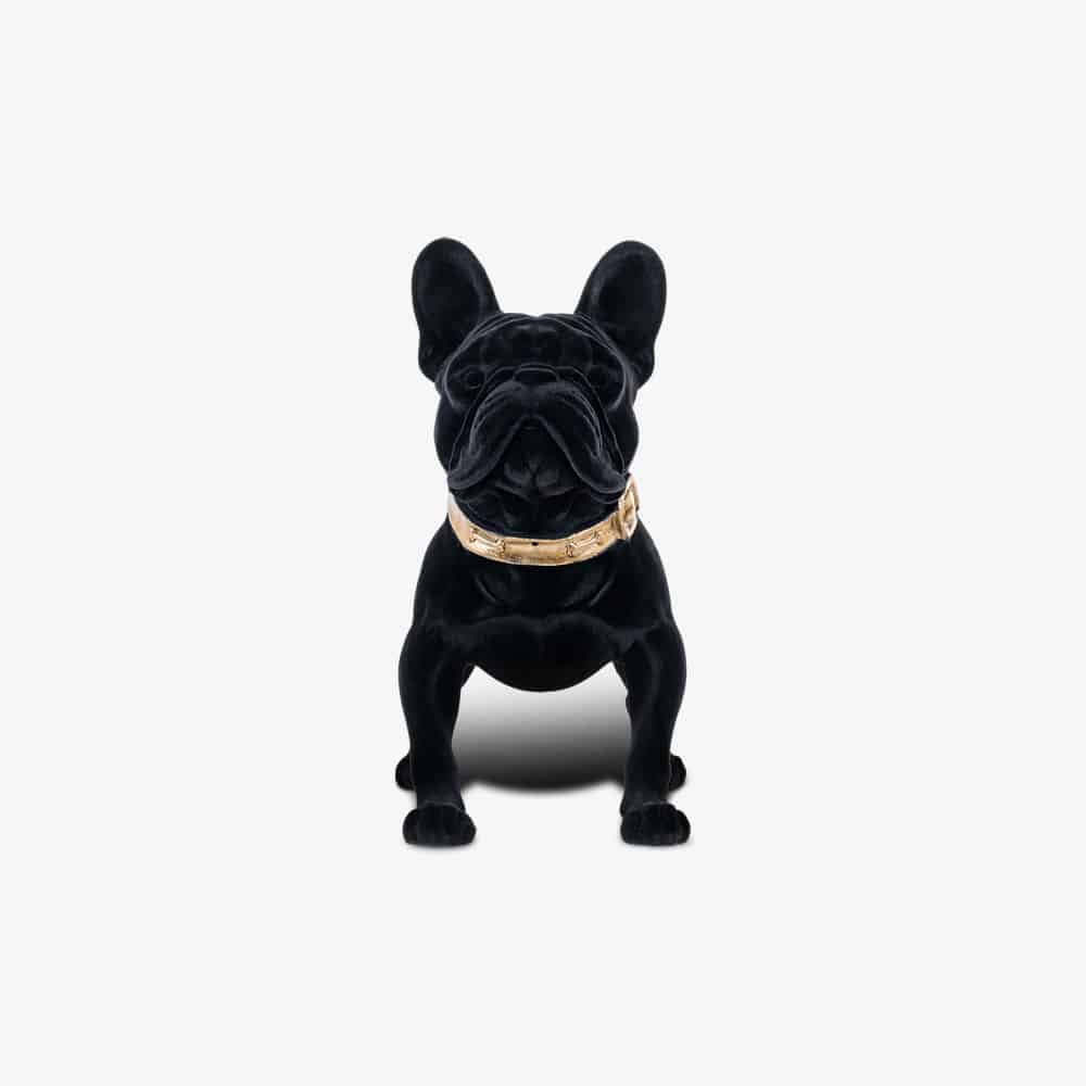 Dog Spike zwart (Black)