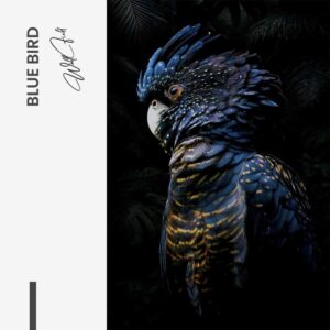 Design-signature - tiny