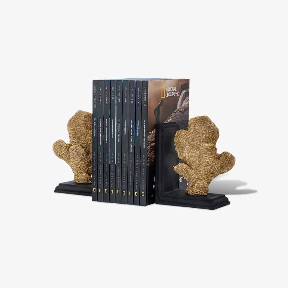 Boekenstandaard Donei (Black/gold)