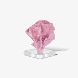 Faux Сoral Aubry (Pink)