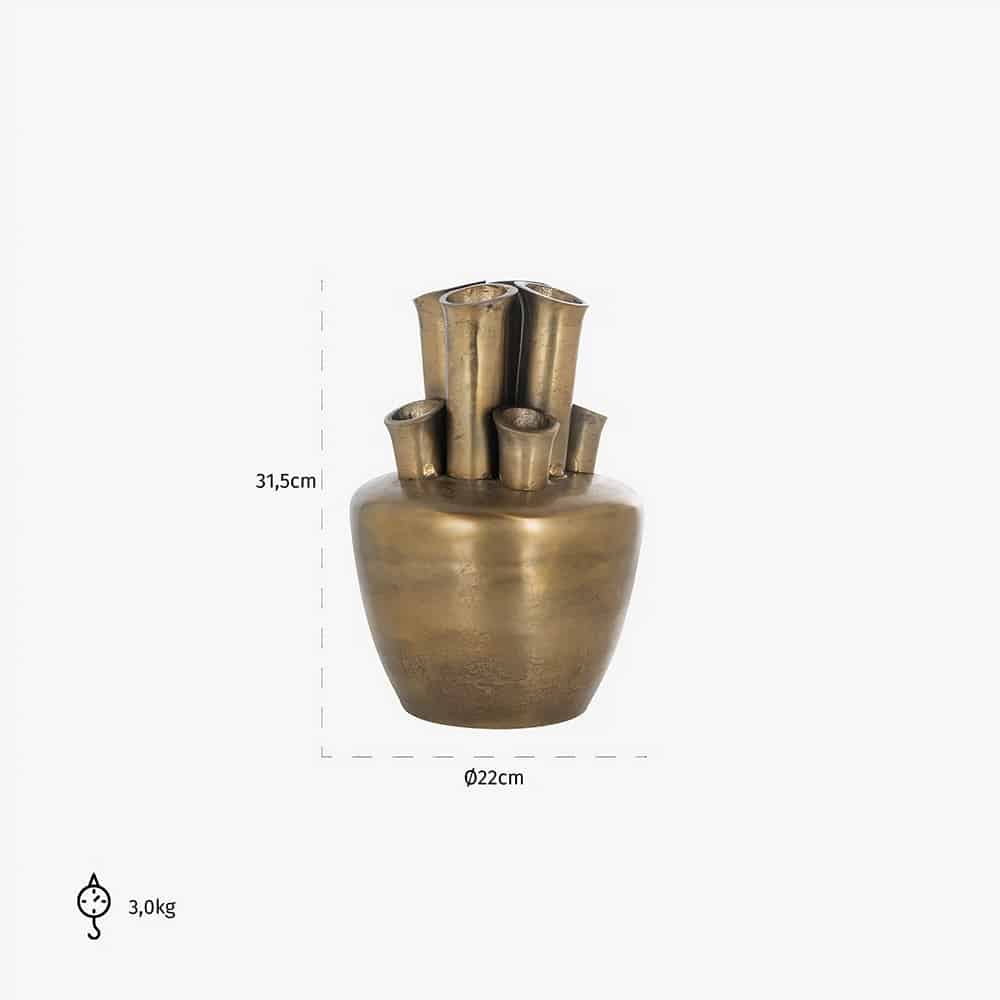 Vaas Roisee (Brushed Gold)