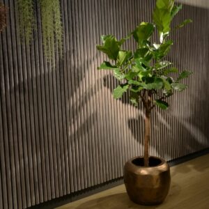 Planten