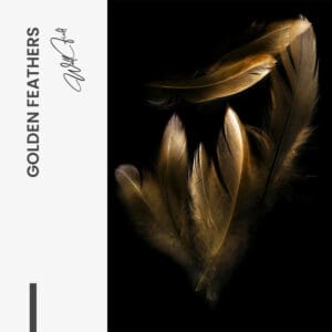 Design-signature - tiny