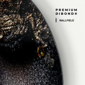 Dibond detail 1