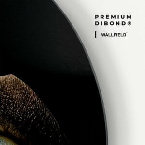 Dibond detail 1