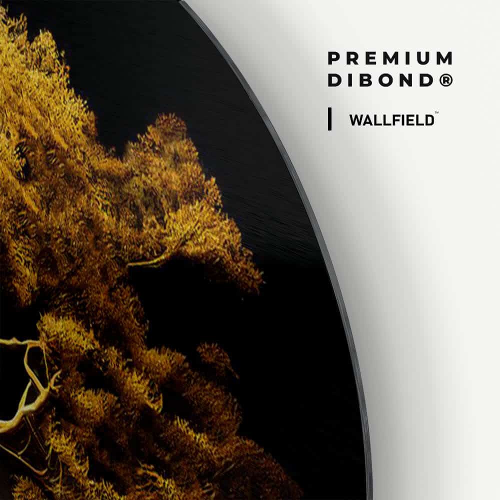 Dibond detail 1