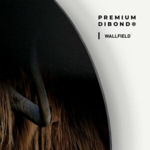 Dibond detail 1