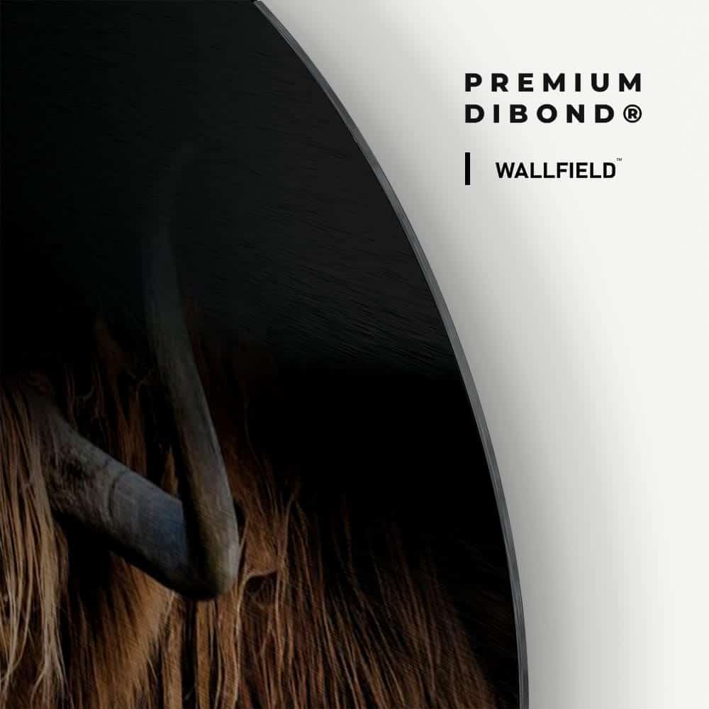 Dibond detail 1