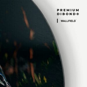 Dibond detail 1