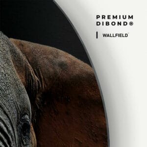Dibond detail 1