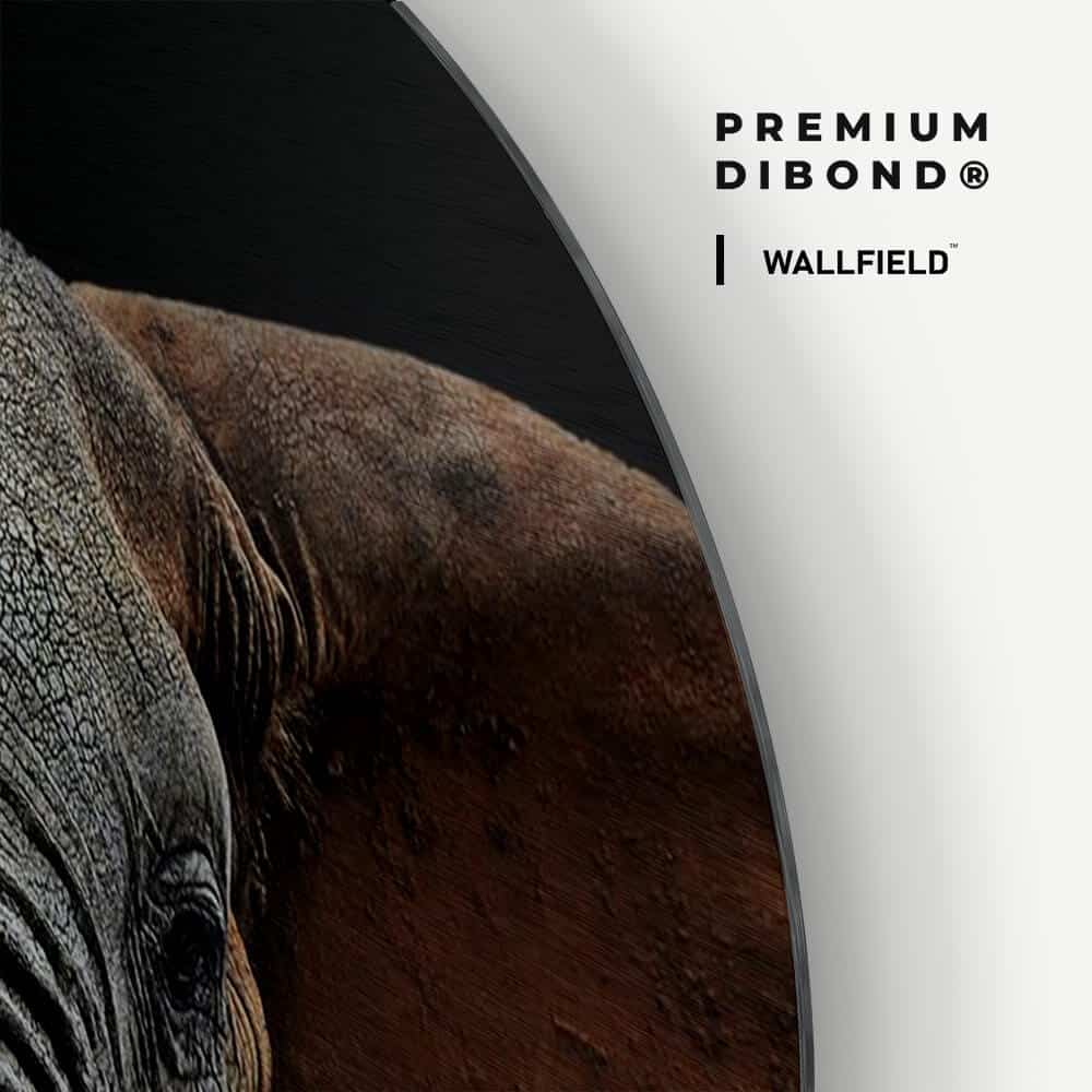 Dibond detail 1