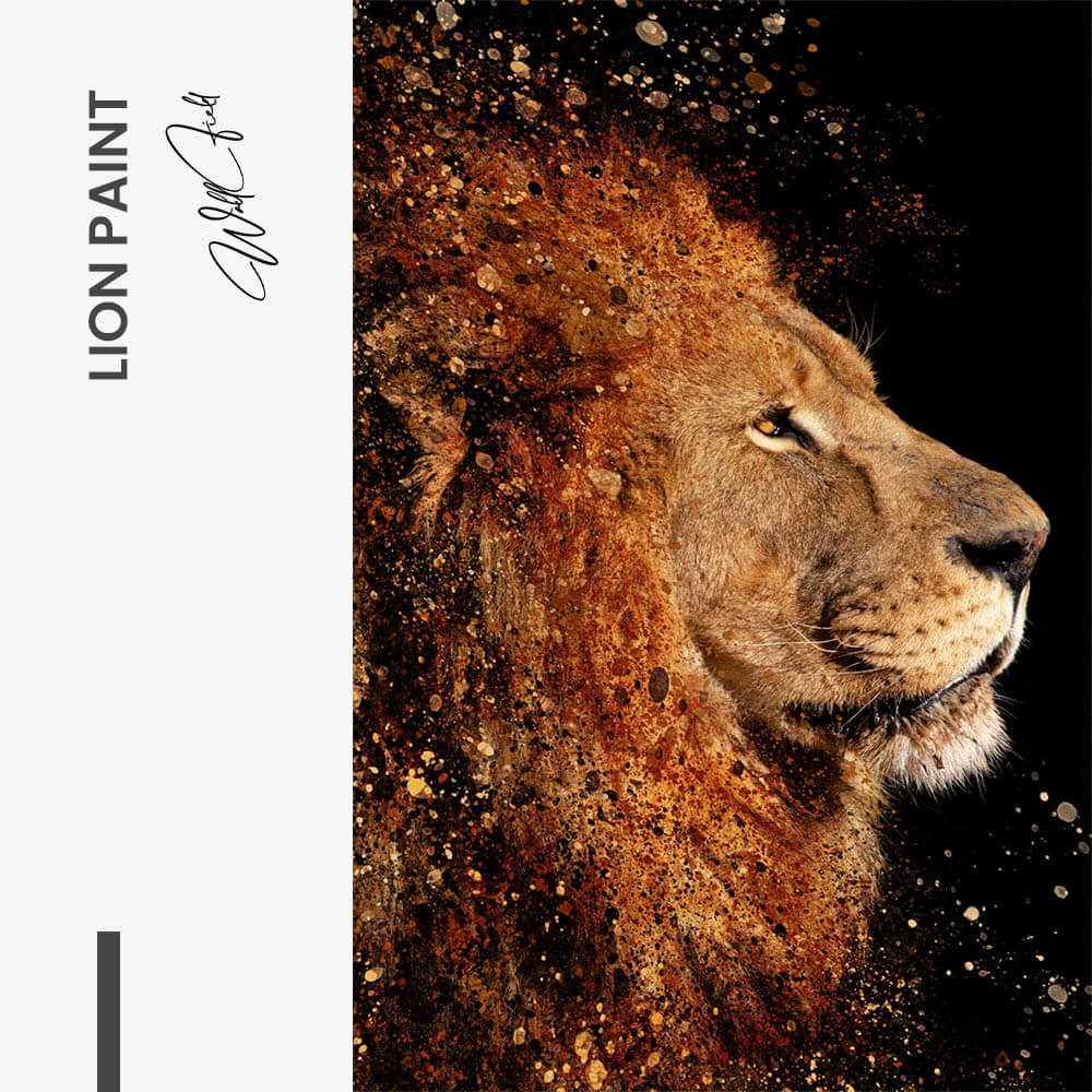7. Design signature