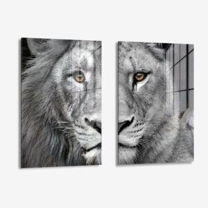 Bundle Glass 2X (1)