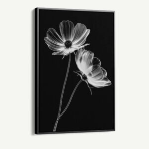 "X-Ray Flowers"