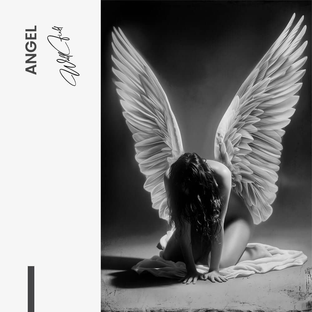 7. Design signature Angel