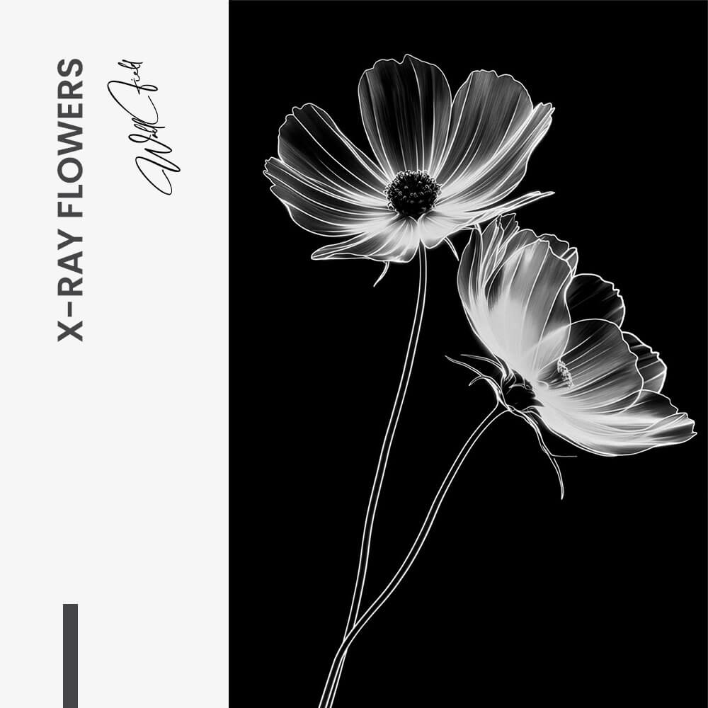7. Design signature X-Ray Flowers