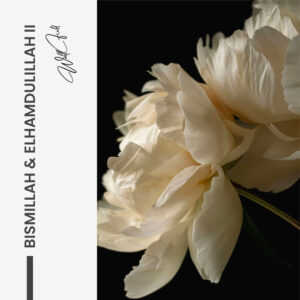 8. Design signature 2