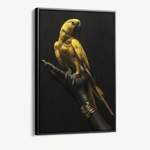 1.-Cvas-Detail-1-Golden-Parrot