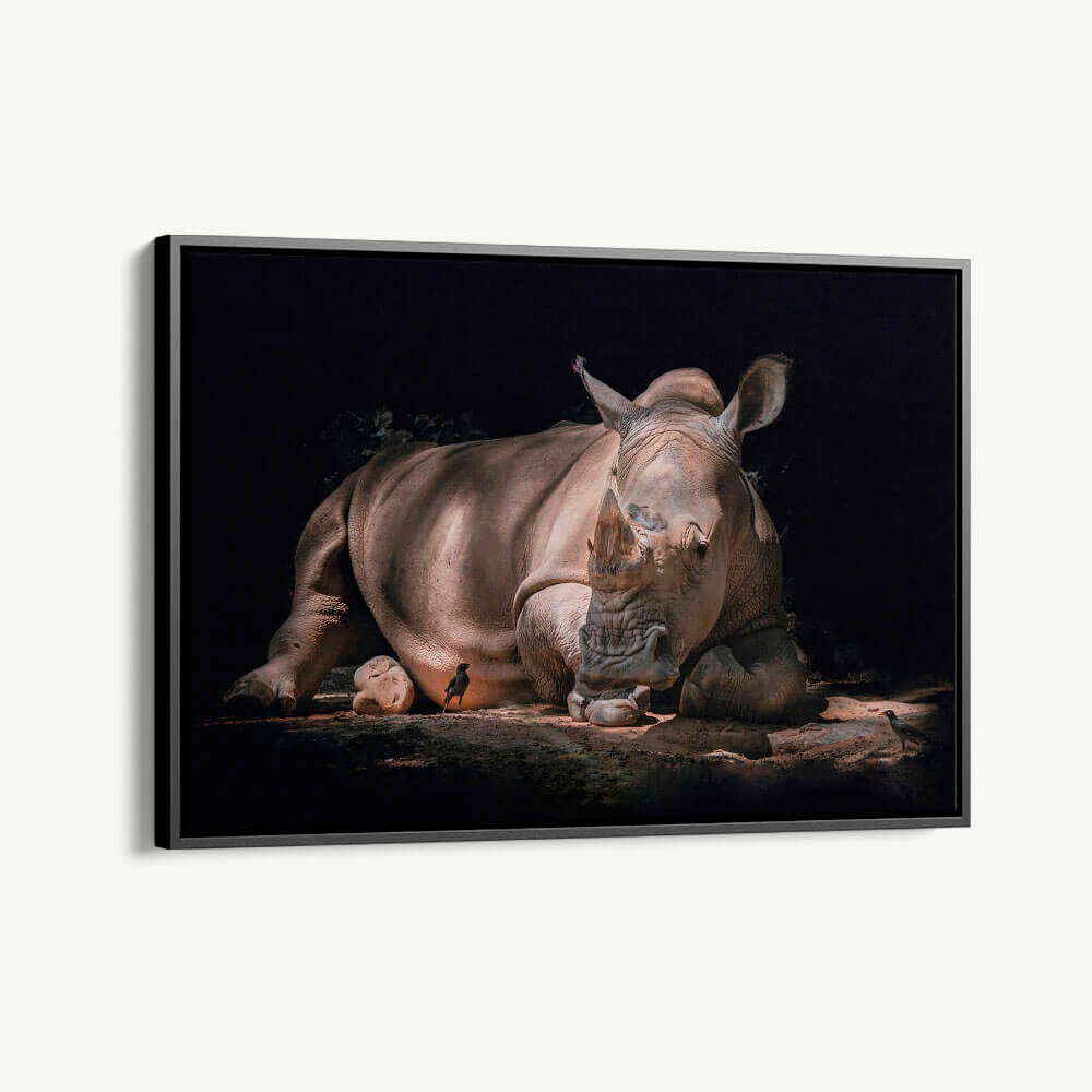 1.-Cvas-Detail-1-Rhino