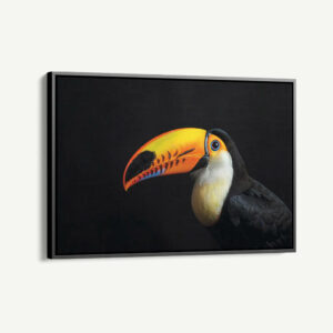 1.-Cvas-Detail-1-Toucan