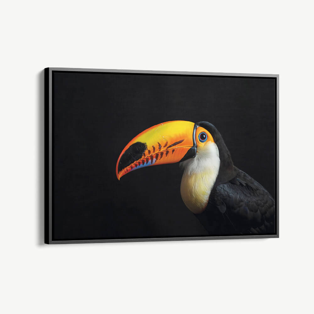 1.-Cvas-Detail-1-Toucan