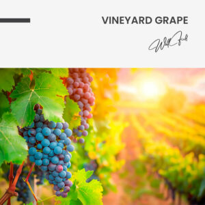 11.-Design-signature-Vineyard-Grape