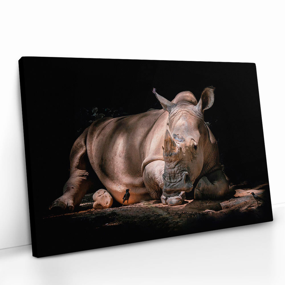 2.-Cvas-Detail-5-Rhino