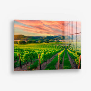 8.-Glass-Detail-1-Vineyard