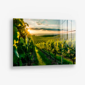 8.-Glass-Detail-1-Vineyard-Sun