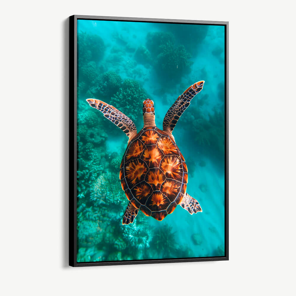 1.-Cvas-Detail-1-Sea-Turtle-VT