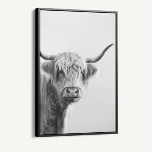 1.-Cvas-Detail-1-White-Muscox
