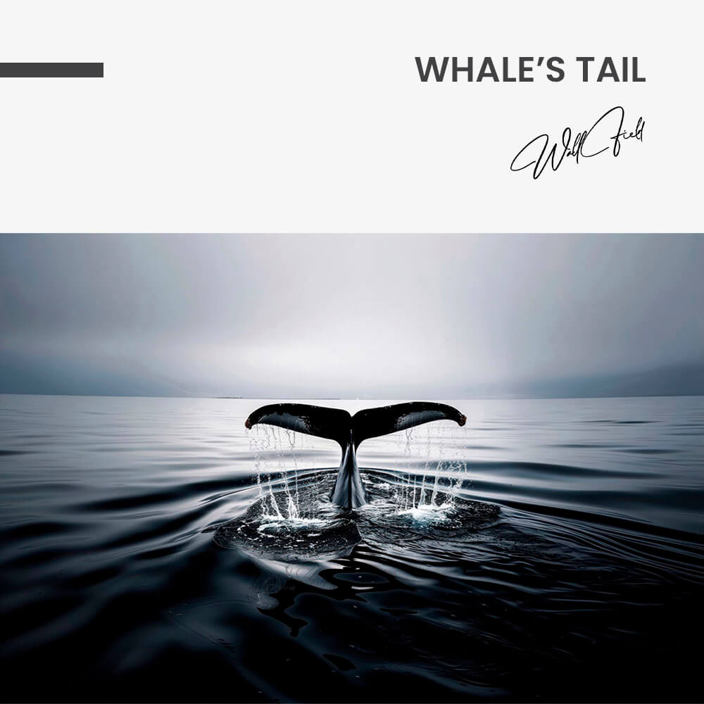 11.-Design-signature-Whale’s-Tail