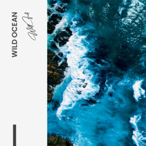 11.-Design-signature-Wild-Ocean
