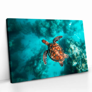 2.-Cvas-Detail-5-Sea-Turtle-HZ