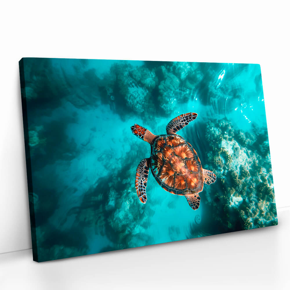 2.-Cvas-Detail-5-Sea-Turtle-HZ