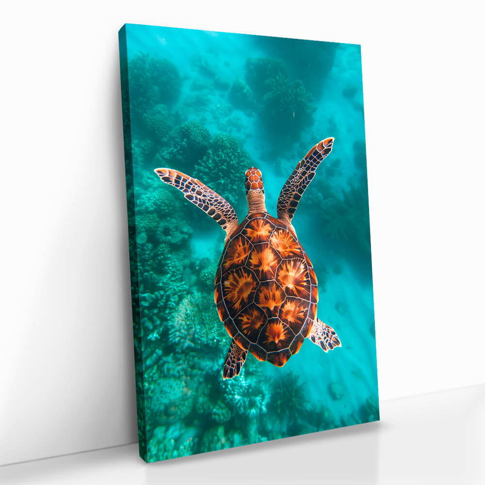 2.-Cvas-Detail-5-Sea-Turtle-VT