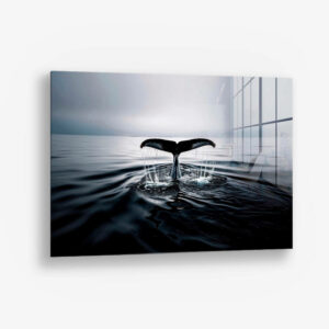 8.-Glass-Detail-1-Whale’s-Tail