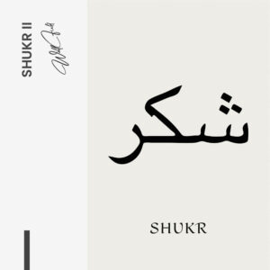 11.-Design-signature-Shukr-II