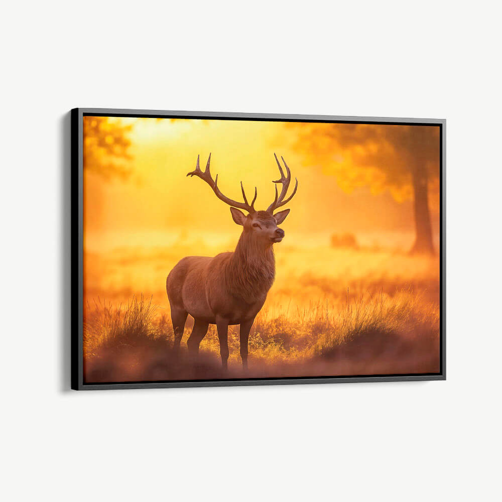 1.-Cvas-Detail-1-Deer