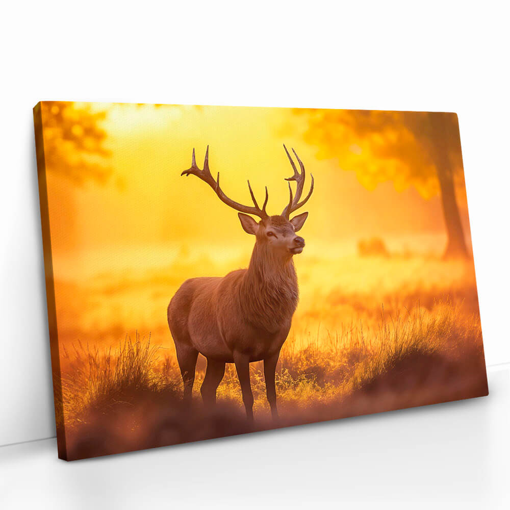 2.-Cvas-Detail-5-Deer