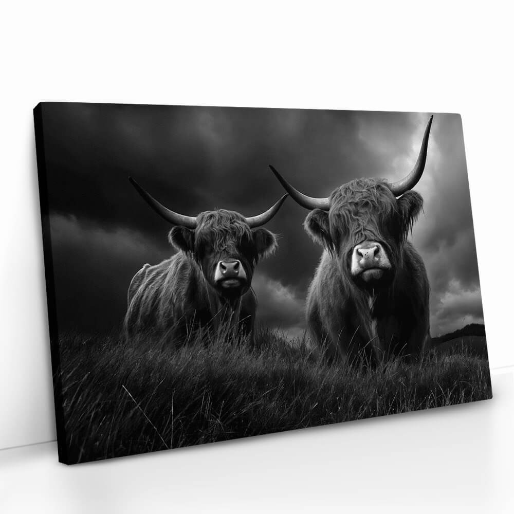 2.-Cvas-Detail-5-Highlander-Duo