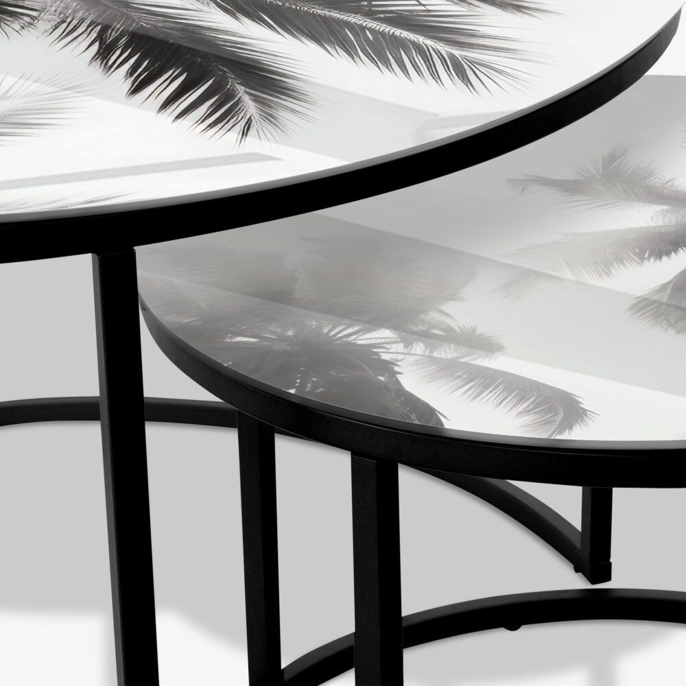 Palm 3